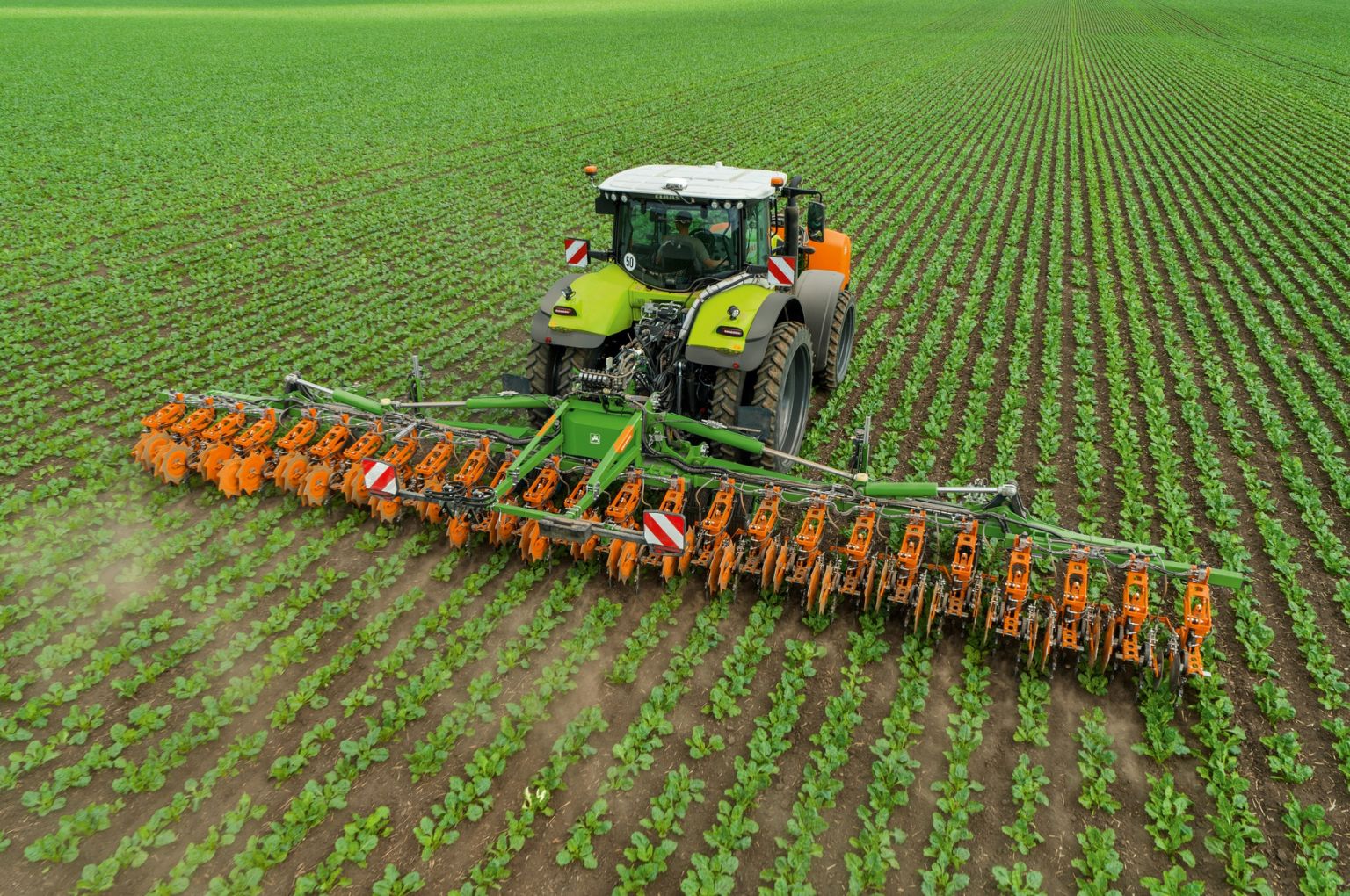 Mechanical impact on weed control