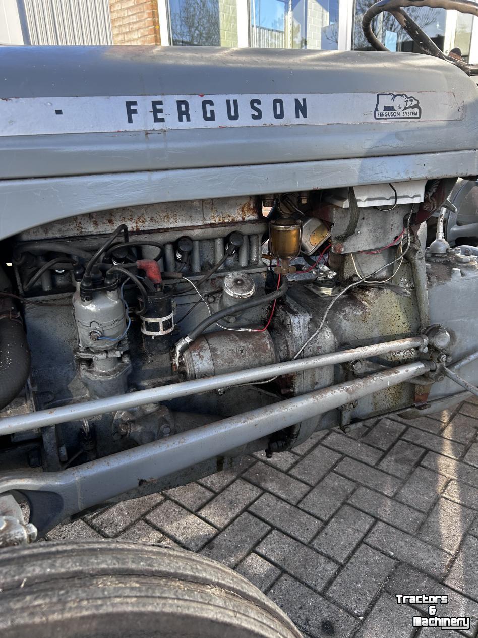Oldtimers Massey Ferguson TEF