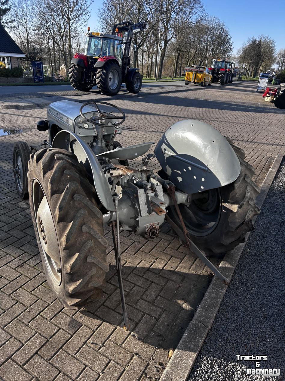 Oldtimers Massey Ferguson TEF