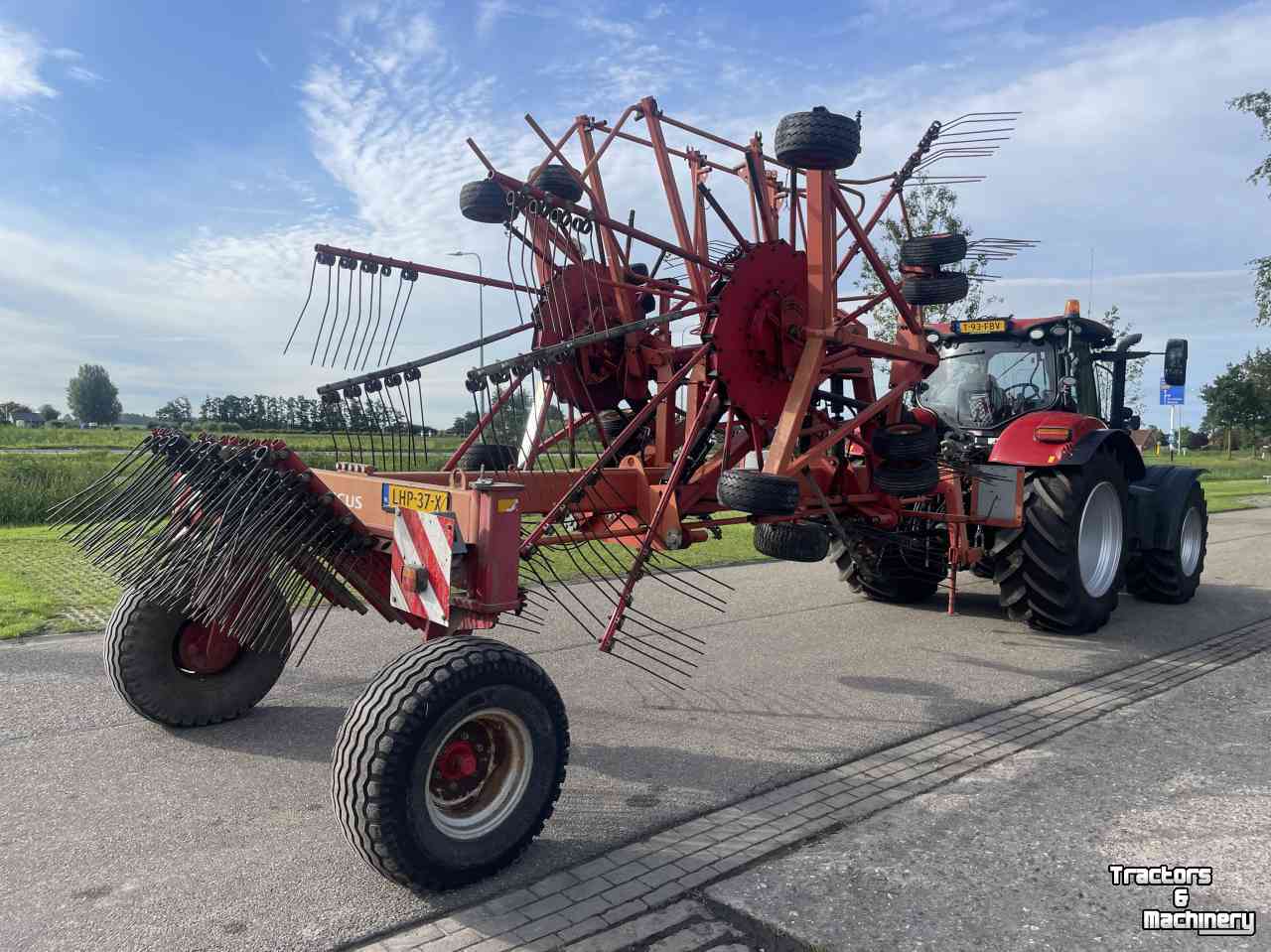 Rake Lely Hibiscus 1015 profi
