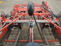 Potato harvester Dewulf Kwatro Gen II