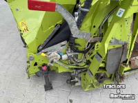 Cornhead Claas Orbis 600 SD new model