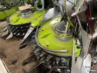 Cornhead Claas Orbis 600 SD 3T