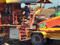 Receiving hopper Spinnekop Spinnekop Combine receiving hopper with cleaner ,inspection conveyor and elevator