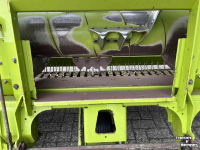 Pick-up Claas PU 300 Pro T Gras Pick-up