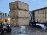 Bale spike / Bale spear  HHT Stroprikker