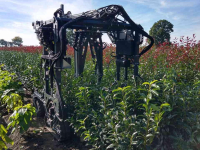 Other tree cultivation equipment and accessories  snoeimachine steekmachine buxusknipper rondsteekmachine