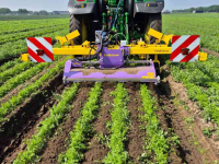 Inter-row cultivator  Feldklasse Ruckaby
