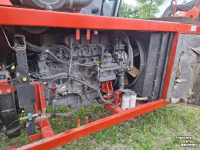 Potato harvester Dewulf RA3060