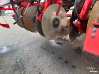 Potato harvester Dewulf Enduro gen I