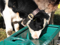 Water trough Solar Energy Suevia Suevia weidedrinkbak, 200 tot 1500 liter