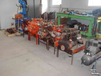 Other tractors and accessories David Brown Alle type s Case en David Brown onderdelen