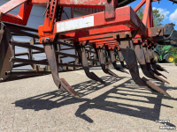 Cultivator Evers Grubber mit Rohrstabwalze