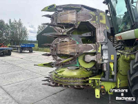 Cornhead Claas ORBIS 600 SD