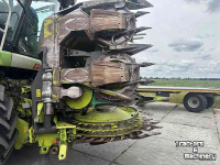 Cornhead Claas ORBIS 600 SD