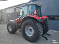 Tractor Massey Ferguson 6445
