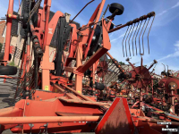 Rake Lely Hibiscus 805