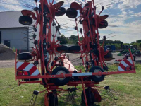 Tedder Kuhn GF10812