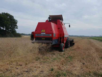 Combine Massey Ferguson 31
