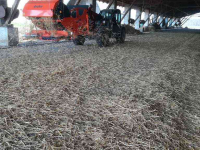 Straw spreader for boxes Teagle Sig Drake SD1 stroverdeler