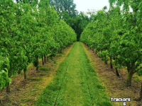 Other McConnel FRUITAERATOR Fruitteelt Cultivator/ Obst- und Weinbau Tiefenlockerer