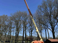 Articulated platforms JLG JLG 460SJ Hoogwerker